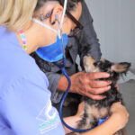 Parabolica_maio_Hospital_Veterinario_Foto-Acácio Pinheiro -Agência Brasília