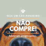 PET_ADOTE