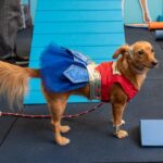 Telmo Ximenes Fotografia