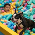 Telmo Ximenes Fotografia