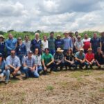 Prosa-Tecnica-Mandioca