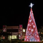 Telmo Ximenes Fotografia