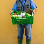 Joe Valle_Divulgação