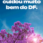 300x600_HOMEM