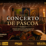 baner Ceilândia- horizontal