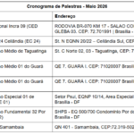 cronograma