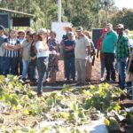 publico
