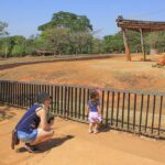 Zoo – Foto Tony Oliveira (2)