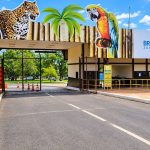 zoo_01